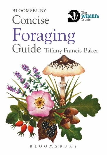 Concise Foraging Guide - Ms Tiffany Francis-Baker
