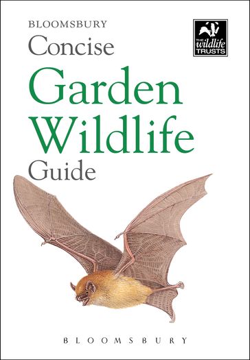 Concise Garden Wildlife Guide - Bloomsbury