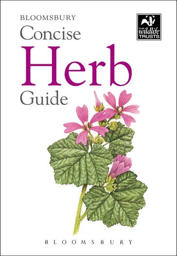 Concise Herb Guide - Bloomsbury