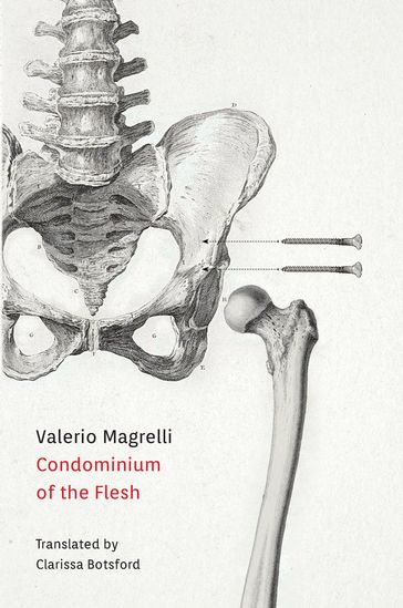 Condominium of the Flesh - Valerio Magrelli