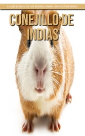 Conejillo de indias: La guía esencial de este increíble animal con fotos increíbles