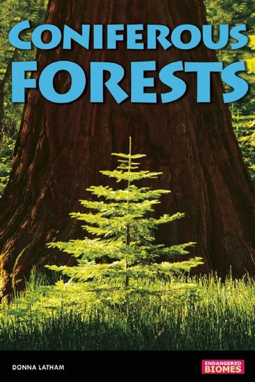 Coniferous Forests - Donna Latham