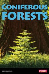 Coniferous Forests