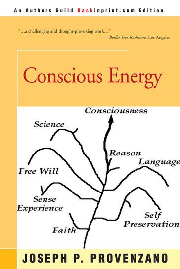 Conscious Energy - Joseph P. Provenzano