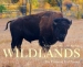 Conserving America s Wild Lands