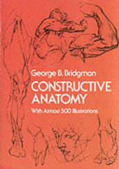 Constructive Anatomy