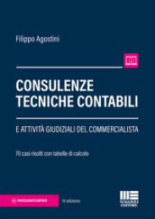 Consulenze tecniche contabili e attività giudiziali del commercialista