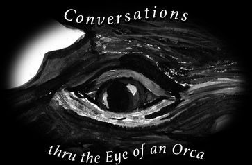 Conversations Thru the Eye of an Orca - Christopher Porter