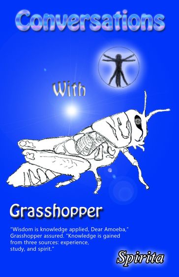Conversations With Grasshopper - Spirita