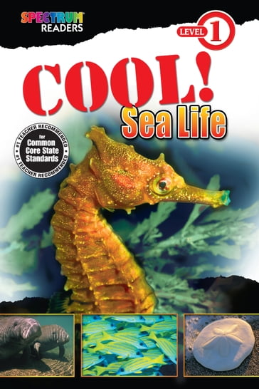 Cool! Sea Life - Katharine Kenah