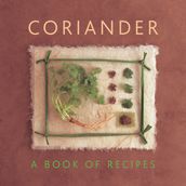 Coriander