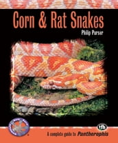 Corn & Rat Snakes