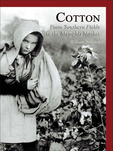 Cotton - William Bearden