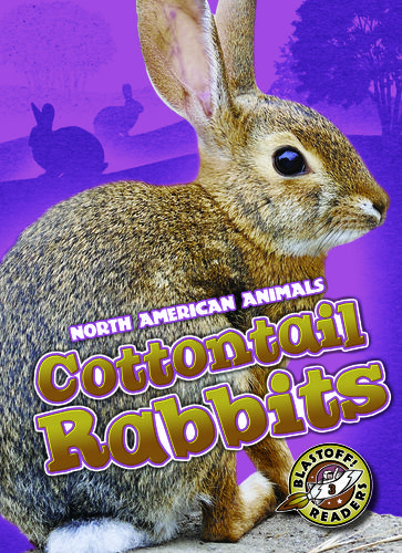 Cottontail Rabbits - Christina Leighton