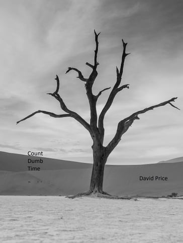 Count Dumb Time - David Price