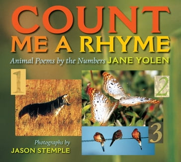 Count Me a Rhyme - Jane Yolen