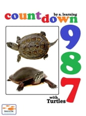 Countdown with turtles