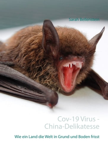Cov-19 Virus - China-Delikatesse Fledermäuse - Sarah Bellenstein