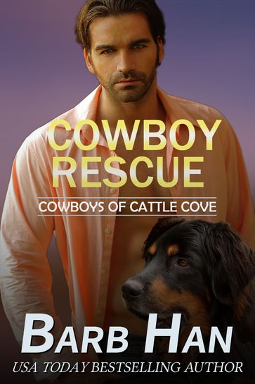 Cowboy Rescue - Barb Han