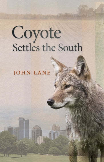 Coyote Settles the South - John Lane