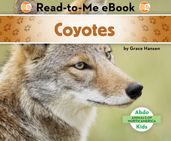 Coyotes