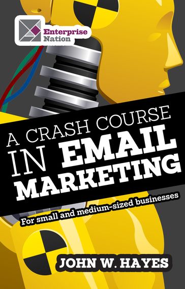 A Crash Course in Email Marketing for Small and Medium-sized Businesses - John W. Hayes