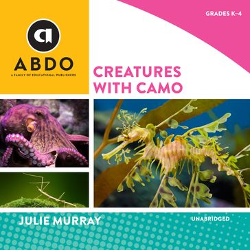 Creatures with Camo - Julie Murray