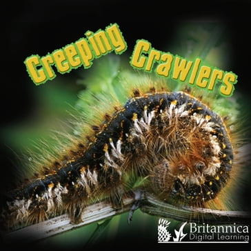Creeping Crawlers - Tom Greve