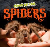 Creepy But Cool Spiders
