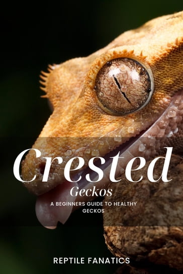 Crested Geckos: A Beginner's Guide to Happy and Healthy Geckos - Reptile Fanatics