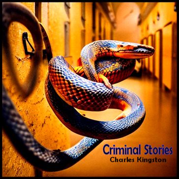 Criminal Stories - Charles Kingston