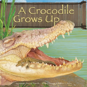 Crocodile Grows Up, A - Amanda Doering Tourville