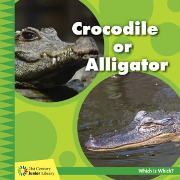 Crocodile or Alligator - Tamra Orr