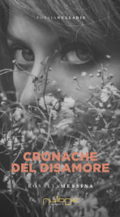 Cronache del disamore