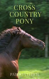 Cross Country Pony