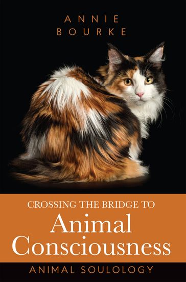 Crossing the Bridge to Animal Consciousness - Annie Bourke