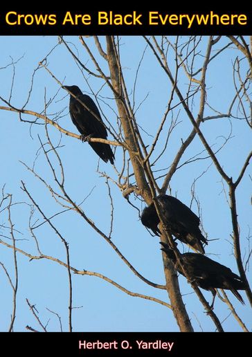 Crows are Black Everywhere - Herbert O. Yardley