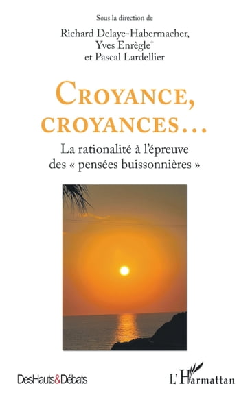Croyance, croyances... - Richard Delaye-Habermacher - Yves Enrègle - Pascal Lardellier