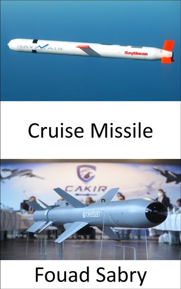 Cruise Missile - Fouad Sabry