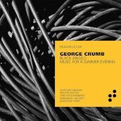 Crumb george black angels and music for