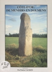 Côte d Or : de menhirs en dolmens