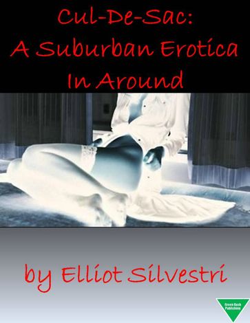 Cul-De-Sac: A Suburban Erotica In Around - Elliot Silvestri