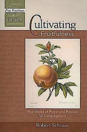 Cultivating Fruitfulness - Robert Schnase