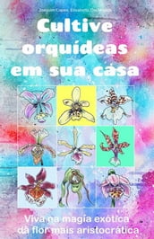 Cultive orquídeas em sua casa.