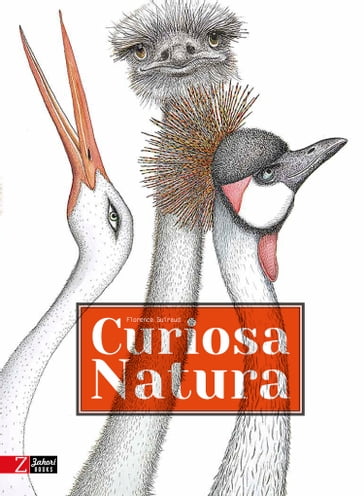 Curiosa natura - Florence Guiraud