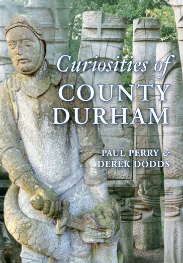 Curiosities of County Durham - Derek Dodds - Paul Perry
