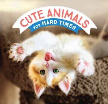 Cute Animals for Hard Times - Chronicle Books