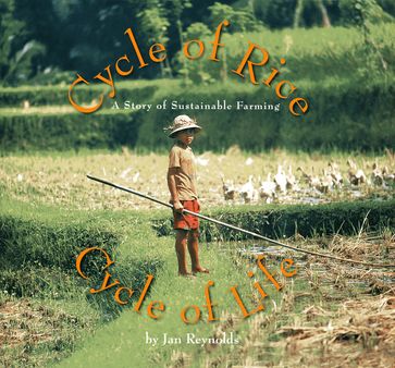 Cycle of Rice, Cycle of Life - Jan Reynolds