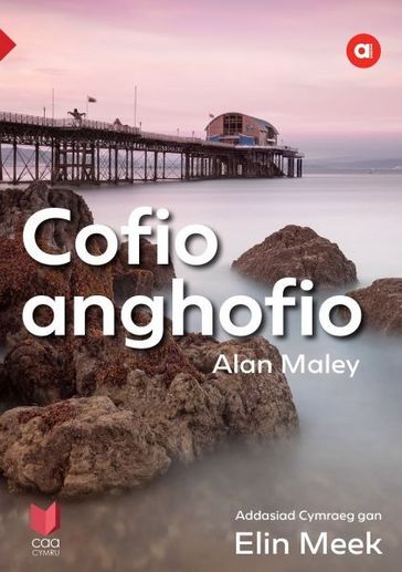 Cyfres Amdani: Cofio Anghofio - Alan Maley
