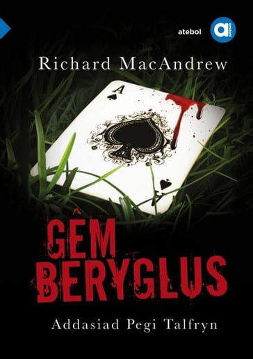 Cyfres Amdani: Gêm Beryglus - Richard MacAndrew